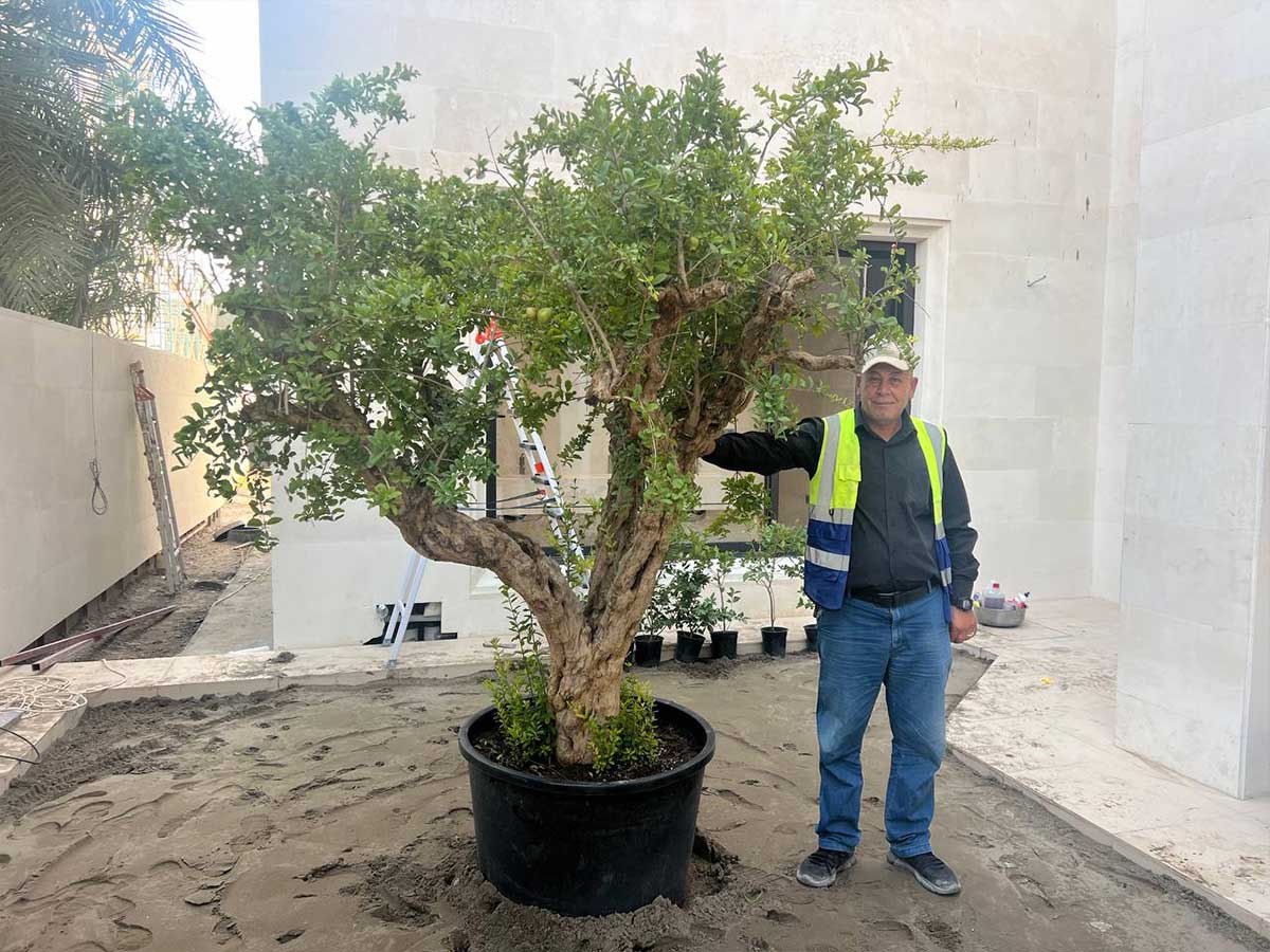 Alam-Alzuhoor-aljaderia-project-baghdad-03