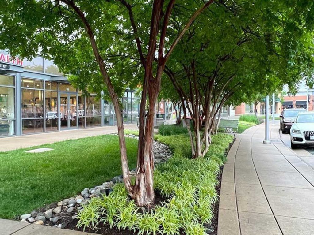 Alam-Alzuhoor-commercial01