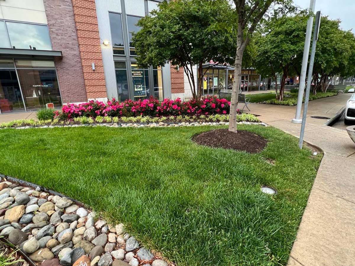 Alam-Alzuhoor-commercial02