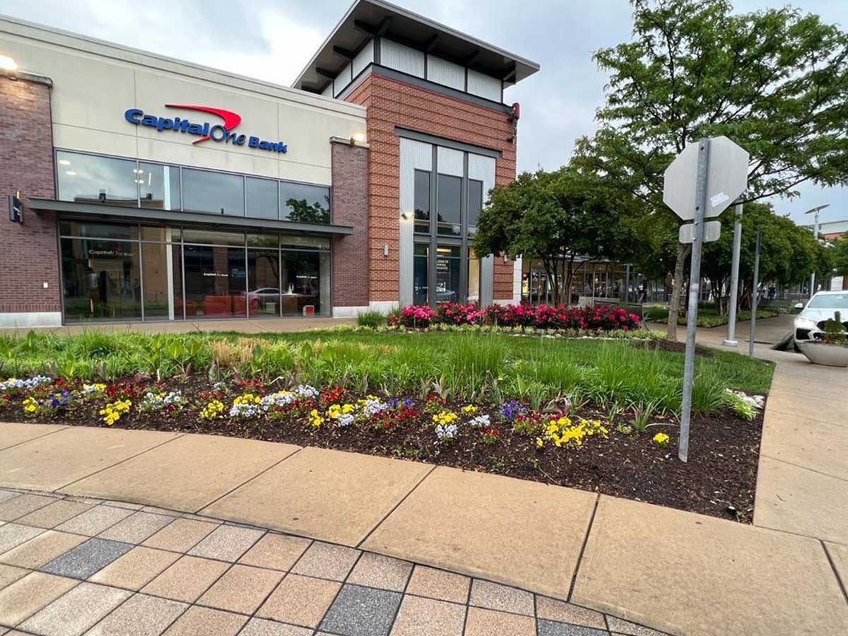 Alam-Alzuhoor-commercial03