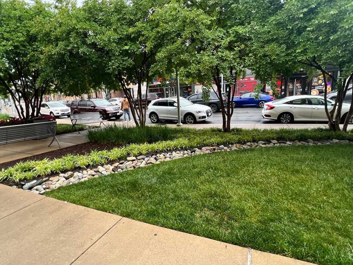 Alam-Alzuhoor-commercial04