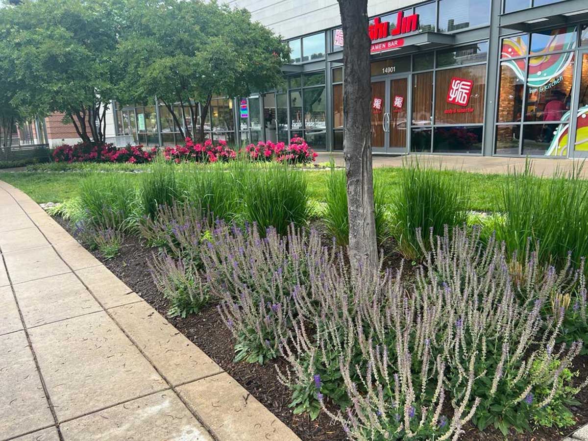 Alam-Alzuhoor-commercial06