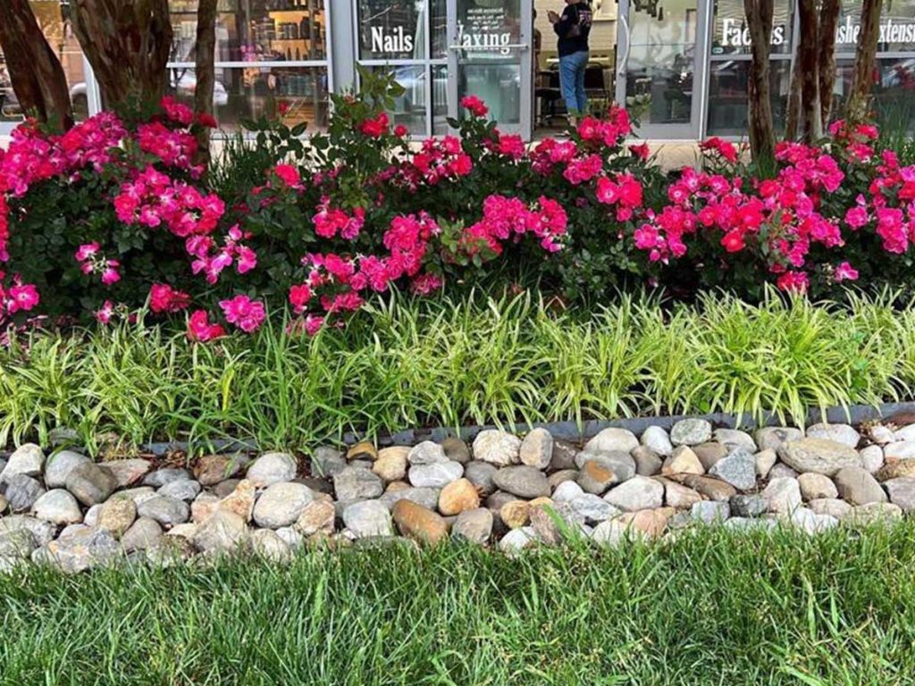 Alam-Alzuhoor-commercial09