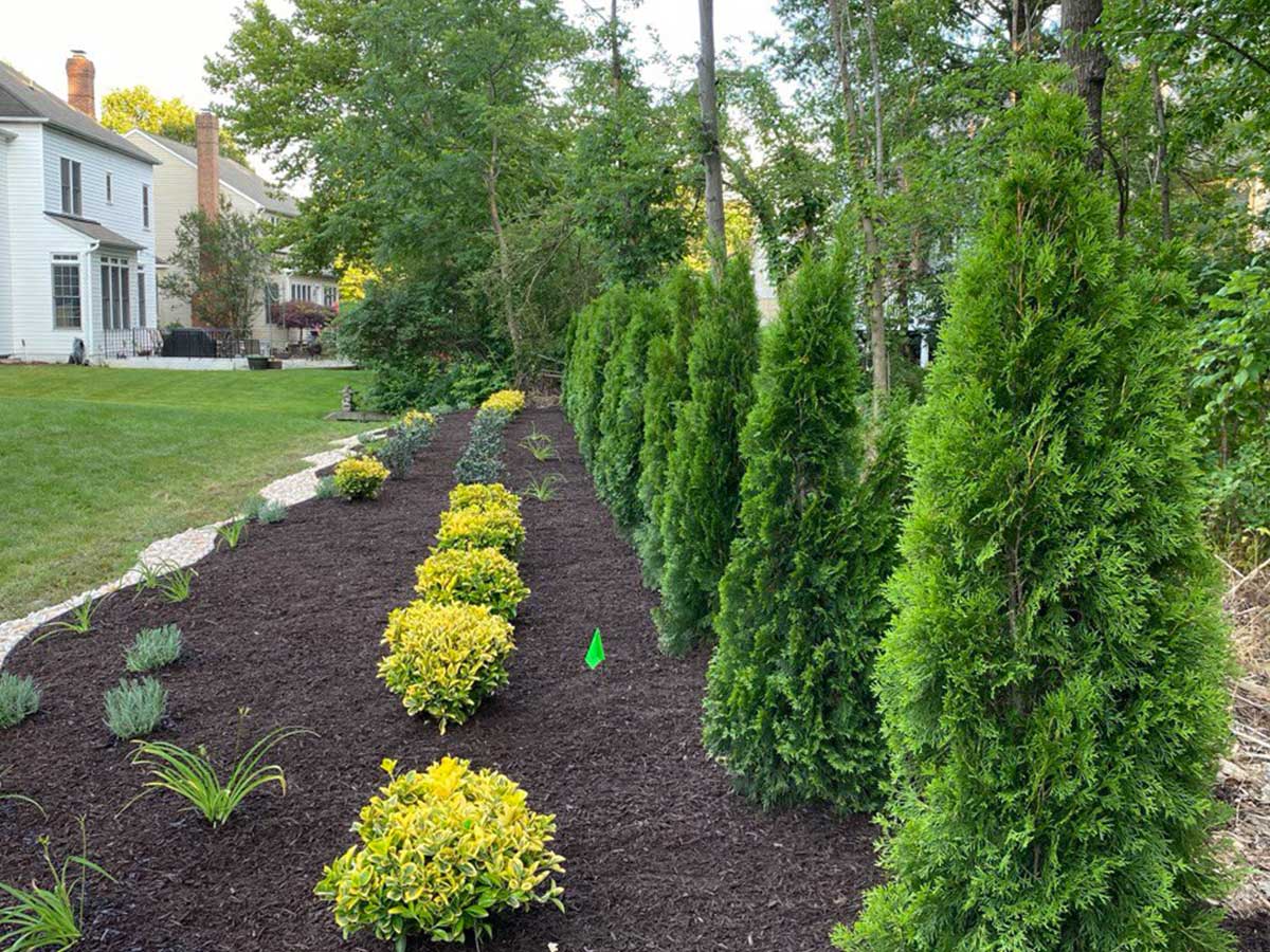 Alam-Alzuhoor-residential05