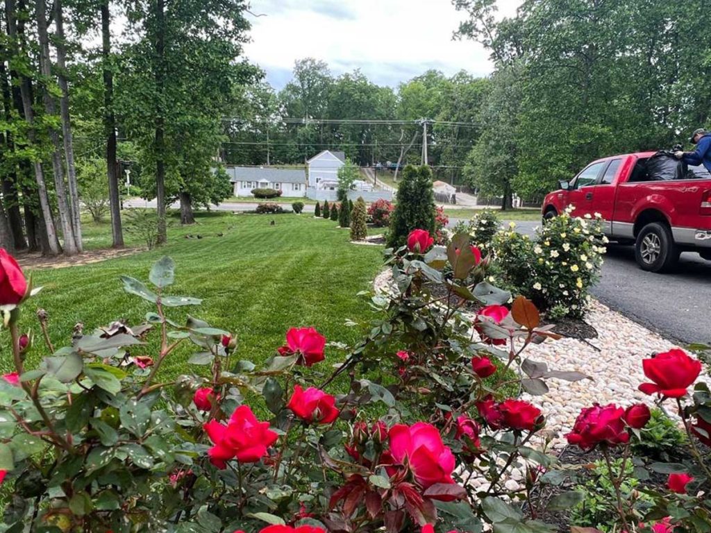 Alam-Alzuhoor-residential10