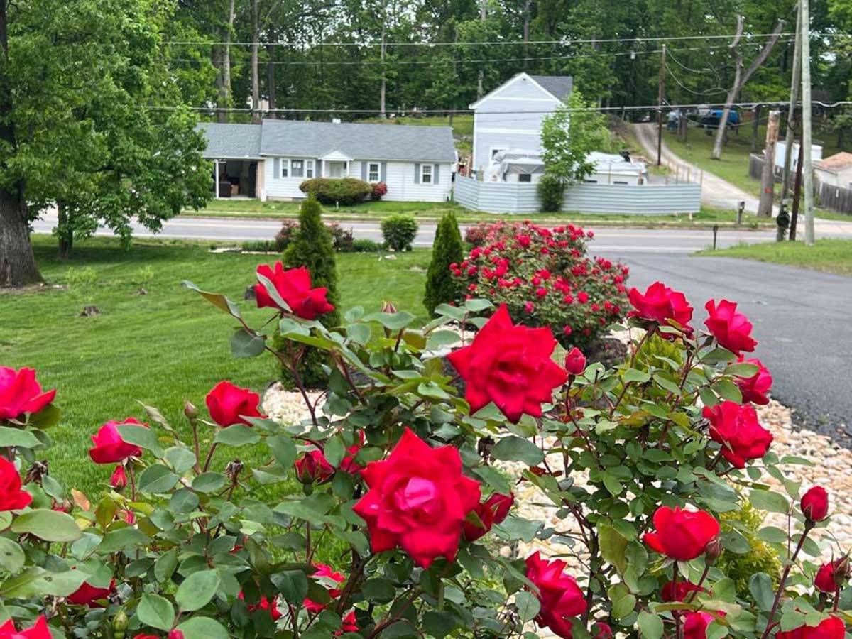 Alam-Alzuhoor-residential13