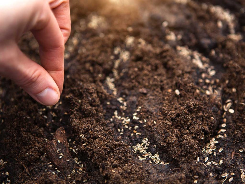 Alam-alzuhoor-Soil-Improvement-&-Conditioning-05