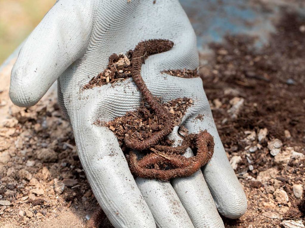 Alam-alzuhoor-Soil-Improvement-&-Conditioning-06